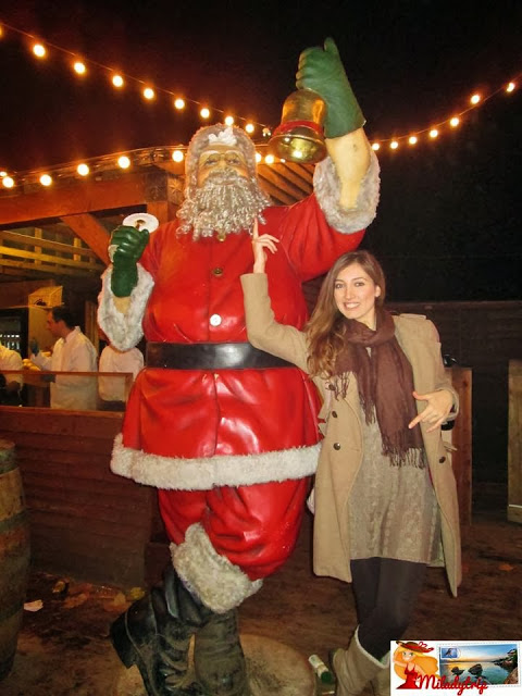 winterwonderlandwithsantaclaus