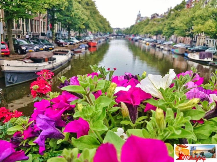canal2bamsterdam