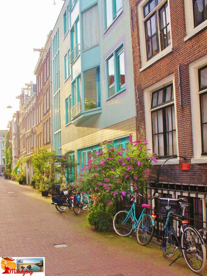 calles2bamsterdam